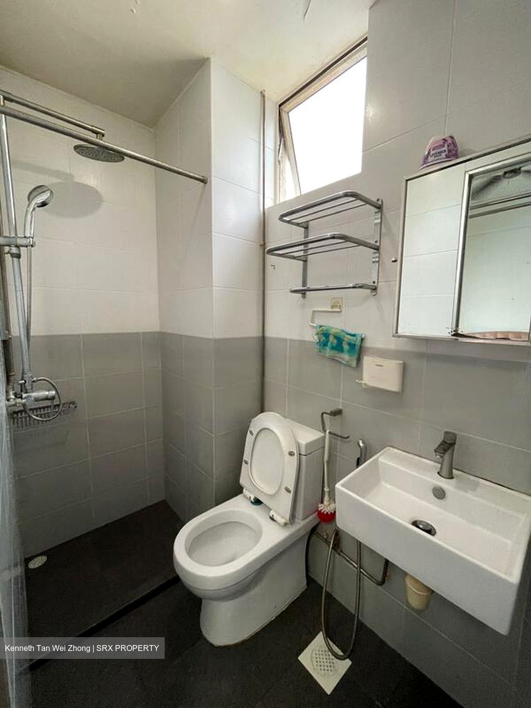 Bishan Park Condominium (D20), Condominium #481704811